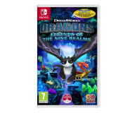 Jeźdźcy Smoków: Legendy Dziewięciu Światów Nintendo Switch - 1057529 - zdjęcie 1